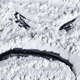 Illustration for article titled A Mutant Cocaine-Eating Enzyme Could Cure Addiction and Overdoses